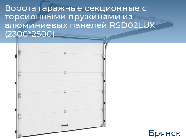 Ворота гаражные секционные с торсионными пружинами из алюминиевых панелей RSD02LUX (2300*2500), bryansk.doorhan.ru