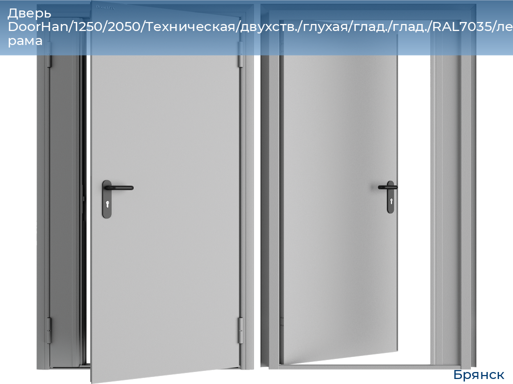 Дверь DoorHan/1250/2050/Техническая/двухств./глухая/глад./глад./RAL7035/лев./угл. рама, bryansk.doorhan.ru