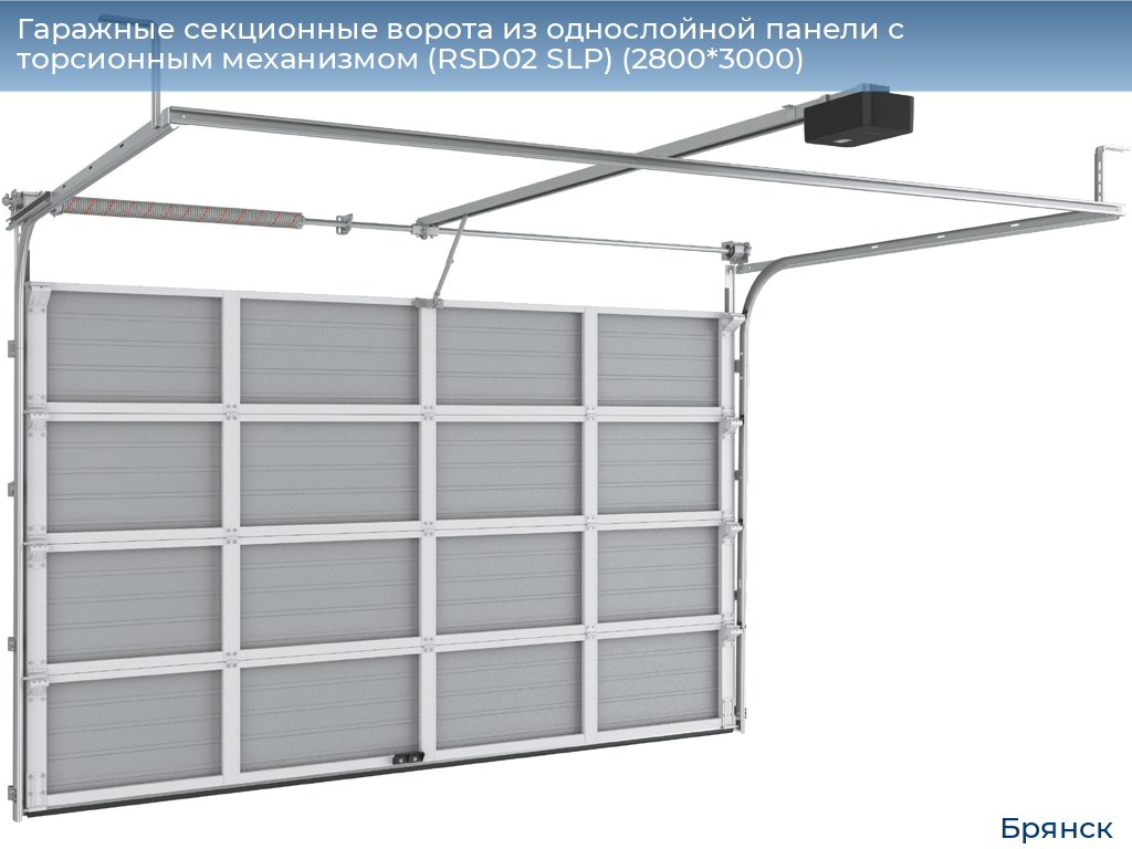 Гаражные секционные ворота из однослойной панели с торсионным механизмом (RSD02 SLP) (2800*3000), bryansk.doorhan.ru
