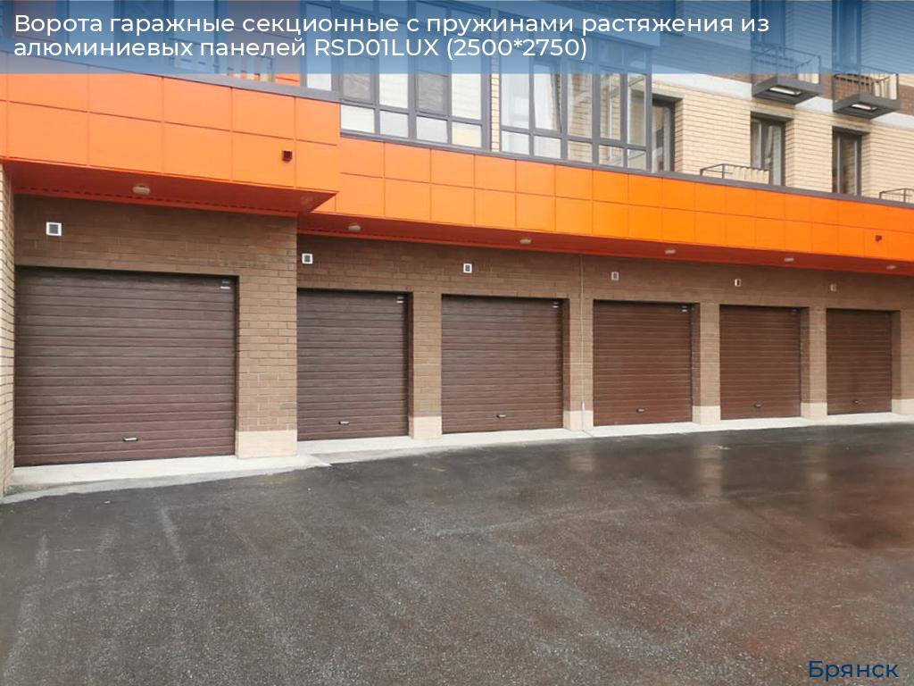 Ворота гаражные секционные с пружинами растяжения из алюминиевых панелей RSD01LUX (2500*2750), bryansk.doorhan.ru