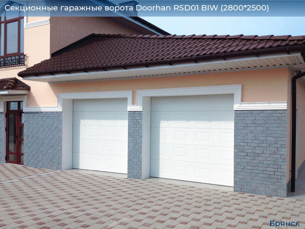 Секционные гаражные ворота Doorhan RSD01 BIW (2800*2500), bryansk.doorhan.ru