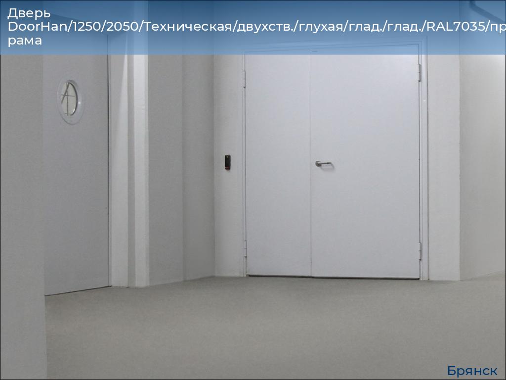 Дверь DoorHan/1250/2050/Техническая/двухств./глухая/глад./глад./RAL7035/прав./угл. рама, bryansk.doorhan.ru
