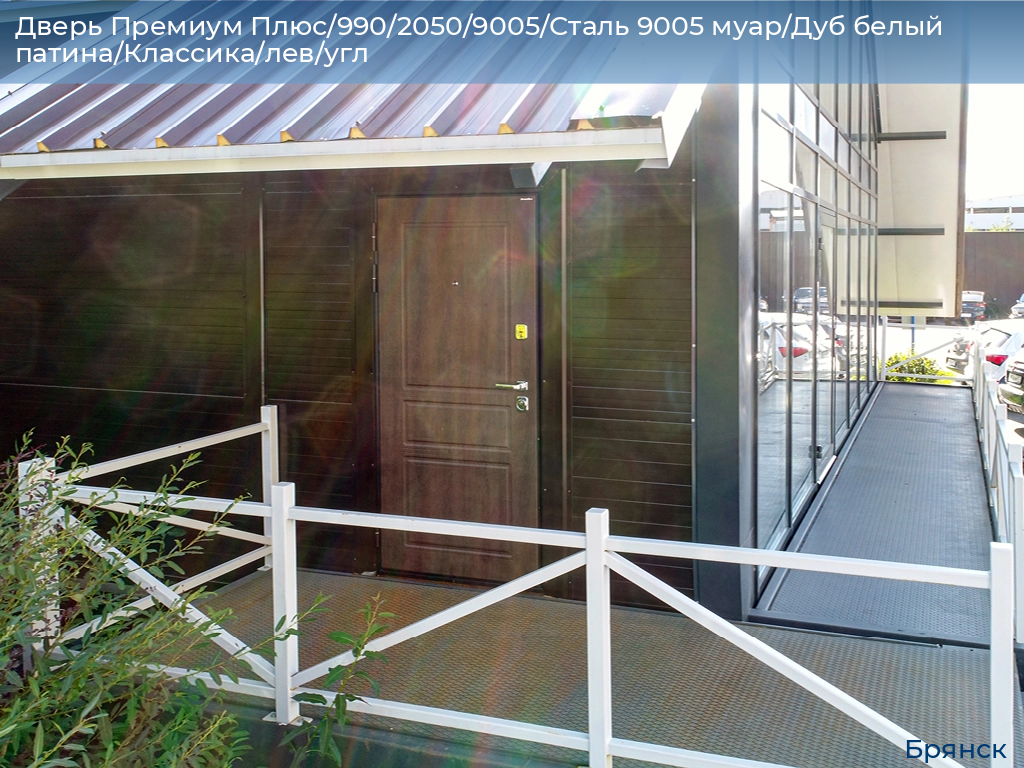 Дверь Премиум Плюс/990/2050/9005/Сталь 9005 муар/Дуб белый патина/Классика/лев/угл, bryansk.doorhan.ru