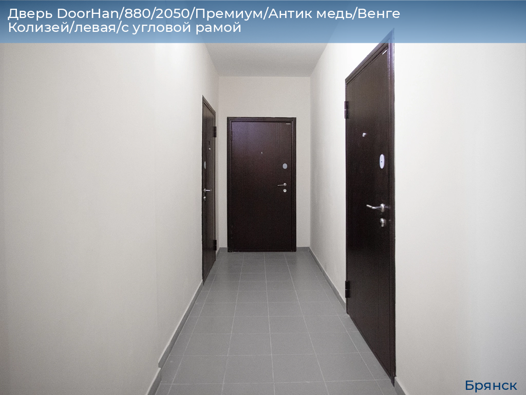 Дверь DoorHan/880/2050/Премиум/Антик медь/Венге Колизей/левая/с угловой рамой, bryansk.doorhan.ru