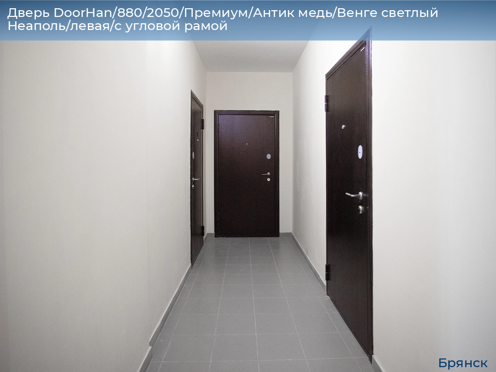 Дверь DoorHan/880/2050/Премиум/Антик медь/Венге светлый Неаполь/левая/с угловой рамой, bryansk.doorhan.ru