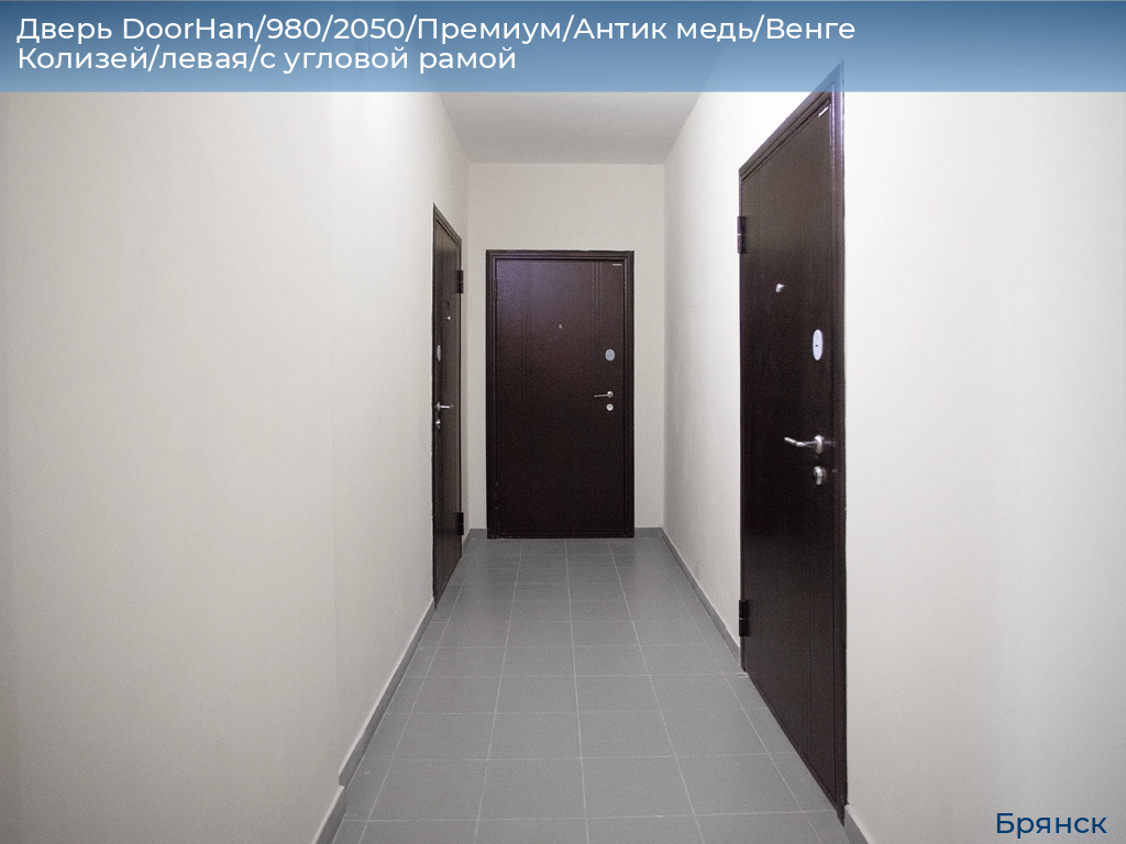 Дверь DoorHan/980/2050/Премиум/Антик медь/Венге Колизей/левая/с угловой рамой, bryansk.doorhan.ru