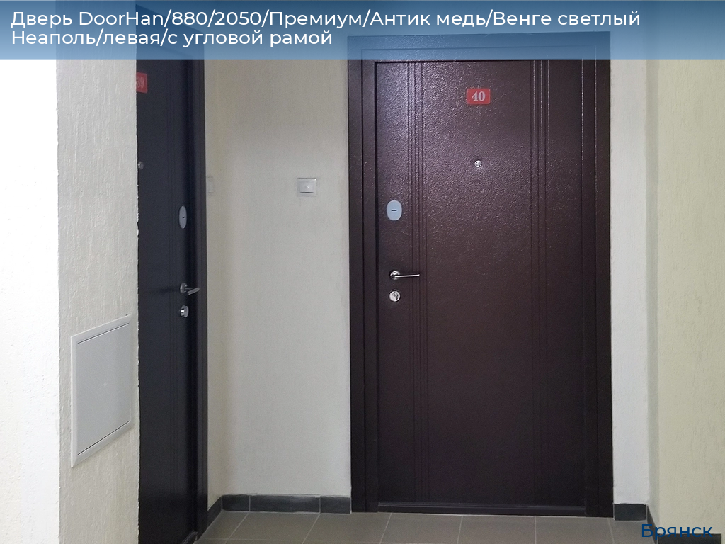 Дверь DoorHan/880/2050/Премиум/Антик медь/Венге светлый Неаполь/левая/с угловой рамой, bryansk.doorhan.ru