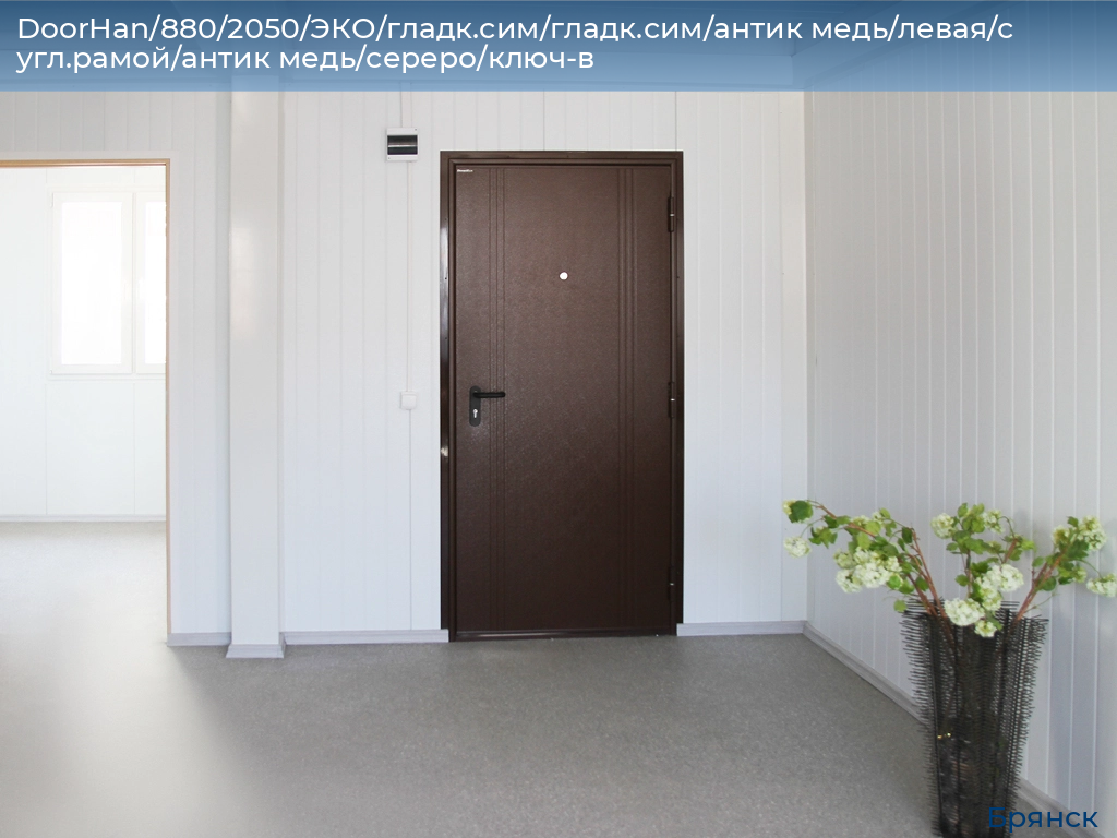 DoorHan/880/2050/ЭКО/гладк.сим/гладк.сим/антик медь/левая/с угл.рамой/антик медь/сереро/ключ-в, bryansk.doorhan.ru